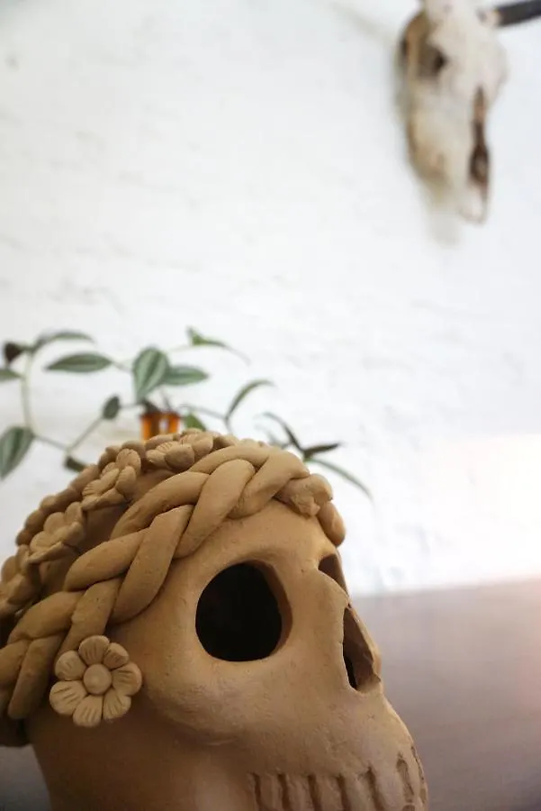 Casa Morelos By Barrio Mexico Guadalajara