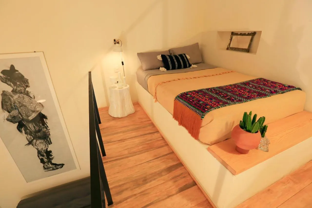 Casa Morelos By Barrio Mexico Guadalajara